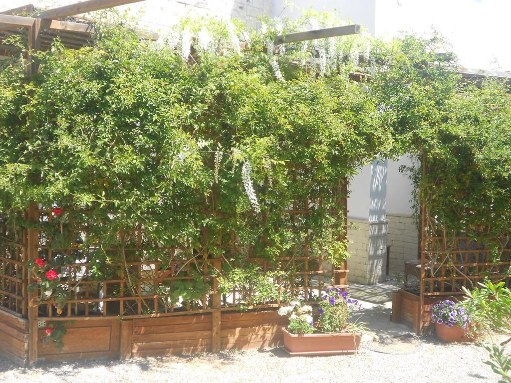 B&B Tenuta Martinelli Monopoli Rum bild